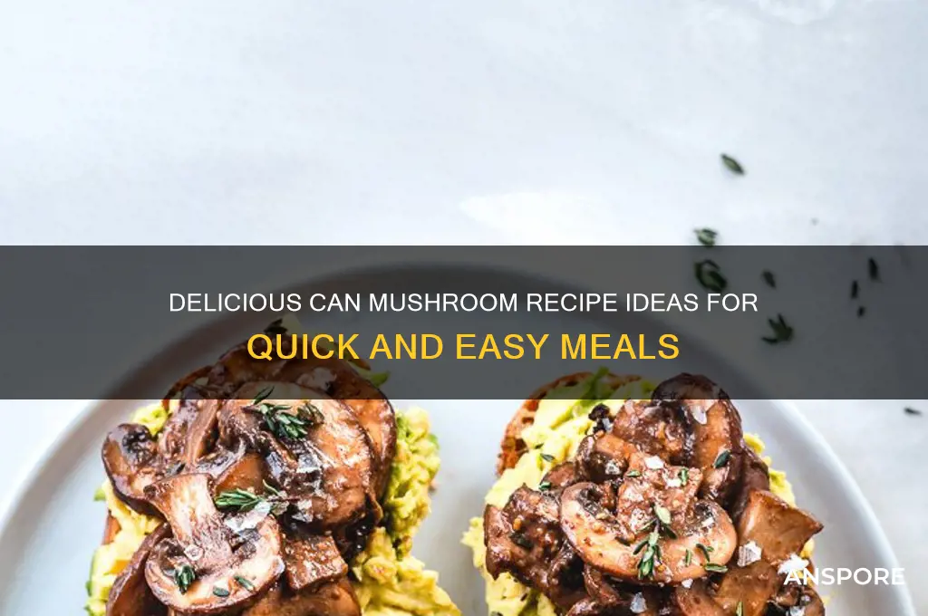can mushroom recipe
