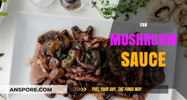 Delicious Can Mushroom Sauce Recipes: Elevate Your Meals with Umami Flavor