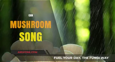 Can Mushrooms Sing? Exploring the Fascinating World of Fungal Sounds