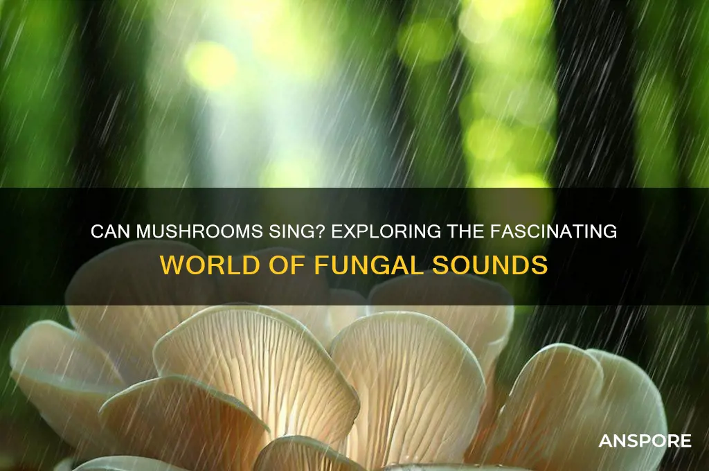 can mushroom song