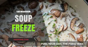 Can Mushroom Soup Freeze? Tips for Preserving Your Favorite Comfort Food
