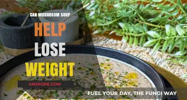 Mushroom Soup for Weight Loss: Fact or Fiction?