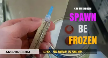 Freezing Mushroom Spawn: A Guide to Preservation and Viability