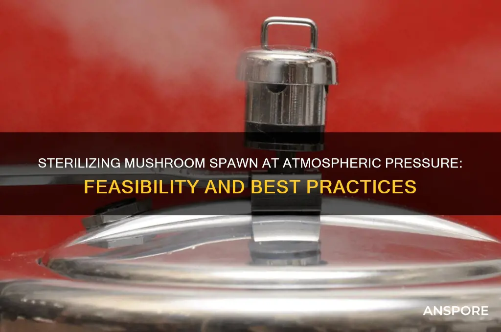 can mushroom spawn besterilized at atmospheric pressure