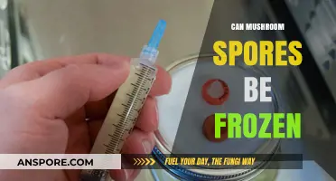 Freezing Mushroom Spores: Preservation Techniques and Long-Term Storage Tips