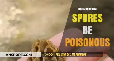 Are Mushroom Spores Poisonous? Unveiling the Hidden Dangers of Fungi