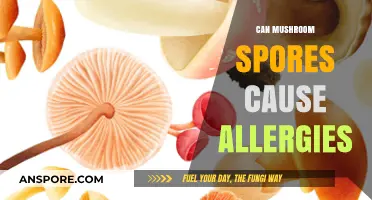 Mushroom Spores and Allergies: Uncovering the Hidden Triggers and Symptoms