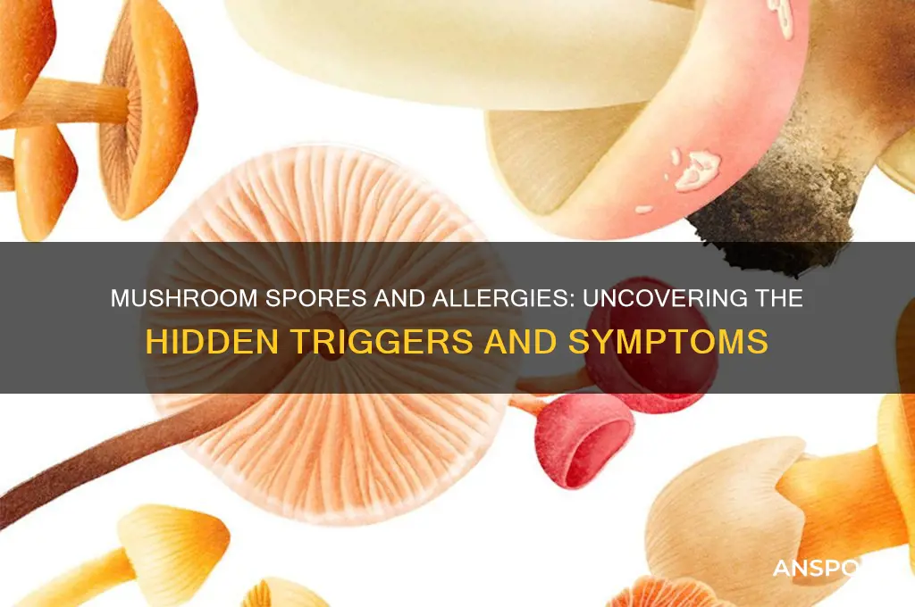 can mushroom spores cause allergies
