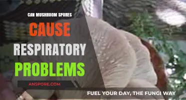 Mushroom Spores and Respiratory Health: Potential Risks Explained