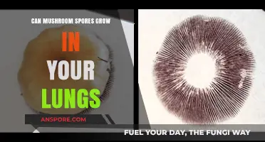 Can Mushroom Spores Grow in Your Lungs? Uncovering the Truth