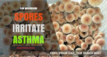 Mushroom Spores and Asthma: Unveiling Potential Irritation Risks