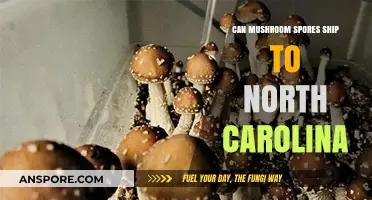 Shipping Mushroom Spores to North Carolina: Legalities and Guidelines