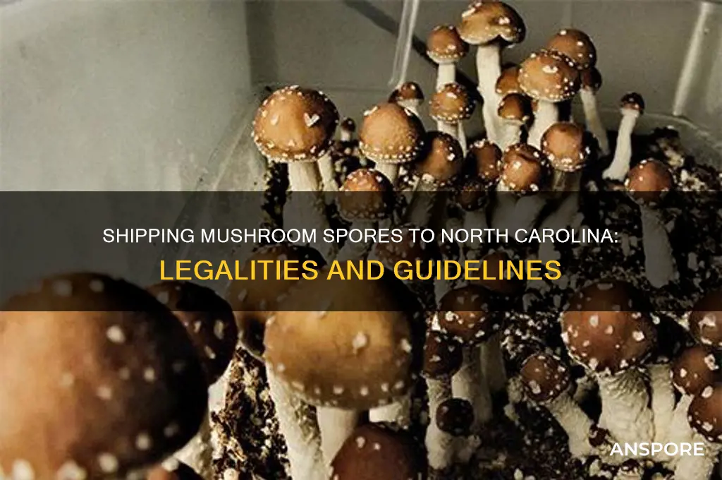 can mushroom spores ship to north carolina