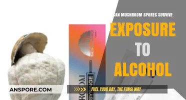 Mushroom Spores and Alcohol: Can They Survive Exposure?