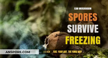 Mushroom Spores and Freezing: Can They Survive Extreme Cold?