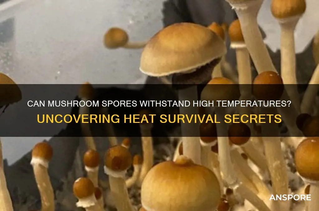 can mushroom spores survive heat