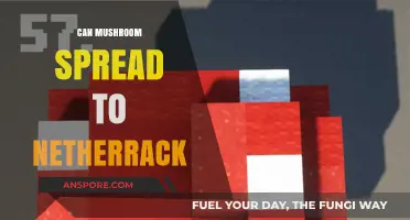Can Mushrooms Grow on Netherrack? Exploring Minecraft's Unique Biomes