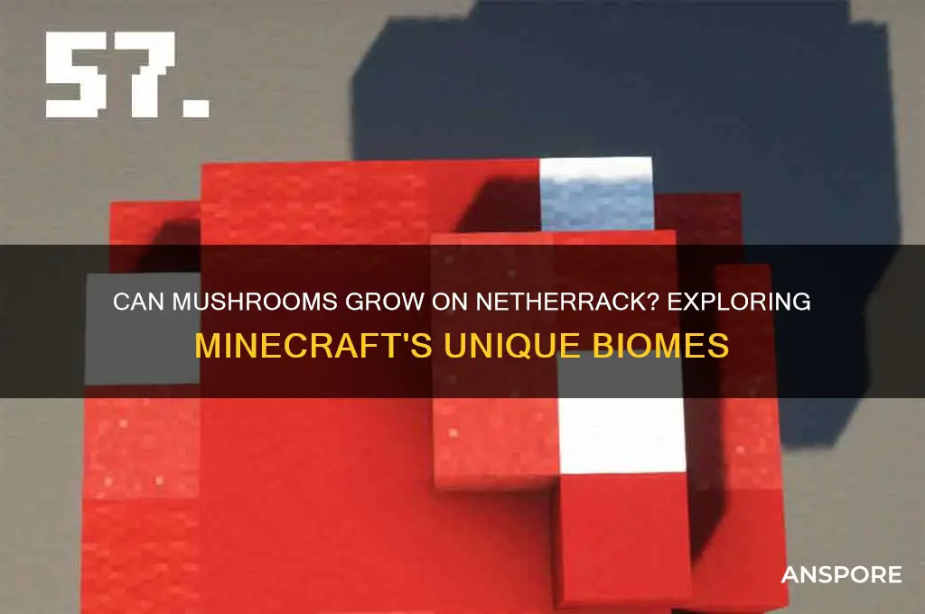 can mushroom spread to netherrack