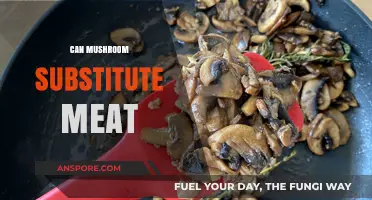 Mushrooms as Meat Alternatives: A Tasty, Sustainable Protein Swap