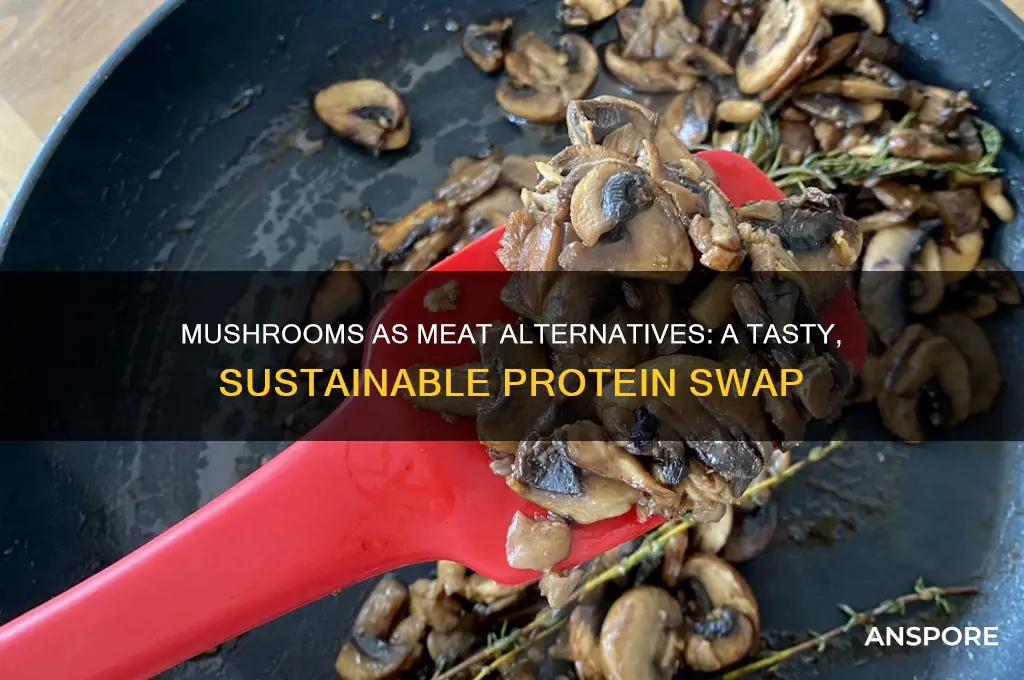 can mushroom substitute meat