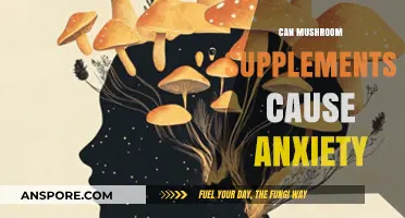 Mushroom Supplements and Anxiety: Unraveling the Potential Connection