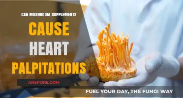 Mushroom Supplements and Heart Palpitations: Uncovering Potential Risks