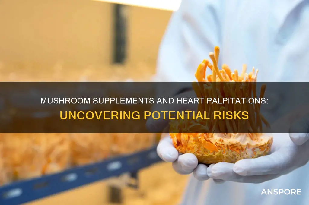 can mushroom supplements cause heart palpitations