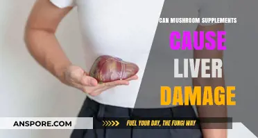 Mushroom Supplements and Liver Health: Debunking Myths and Risks
