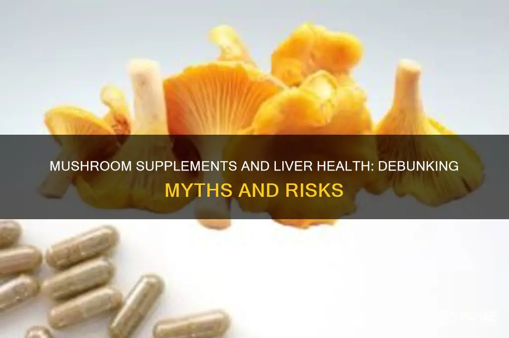 can mushroom supplements cause liver damage