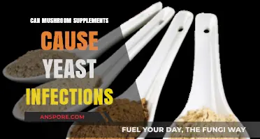 Mushroom Supplements and Yeast Infections: Unraveling the Connection and Risks