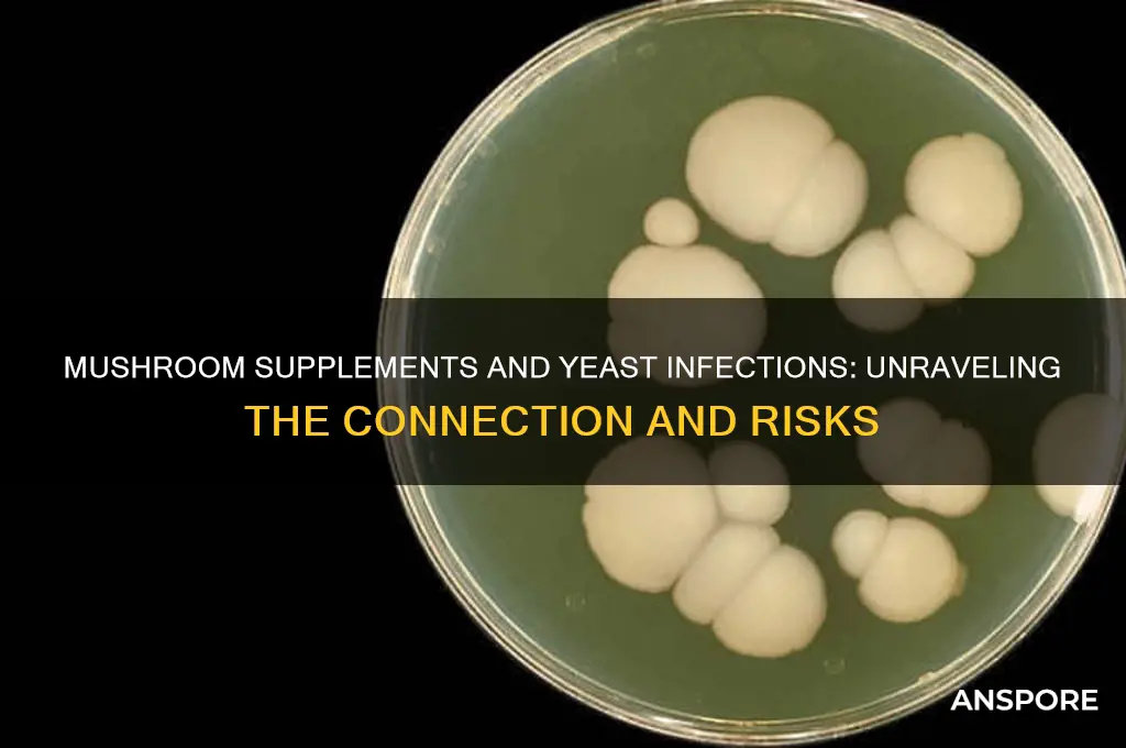 can mushroom supplements cause yeast infections