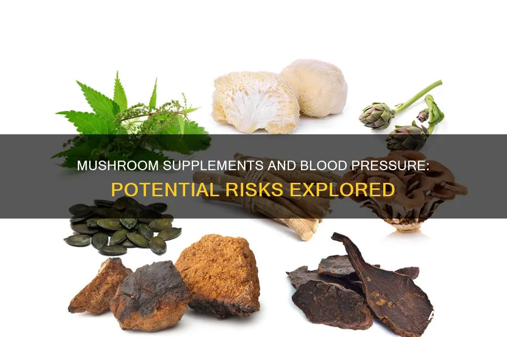 can mushroom supplements raise blood pressure