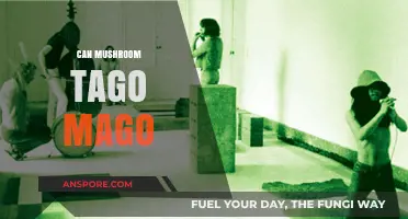 Can Mushroom Tago Mago Transform Your Mind and Body?