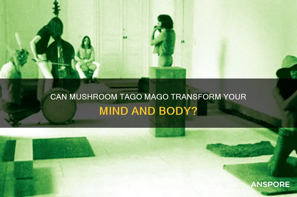 can mushroom tago mago
