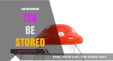 Storing Mushroom Tea: Tips for Freshness and Longevity