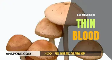Mushrooms and Blood Thinning: Uncovering the Natural Connection