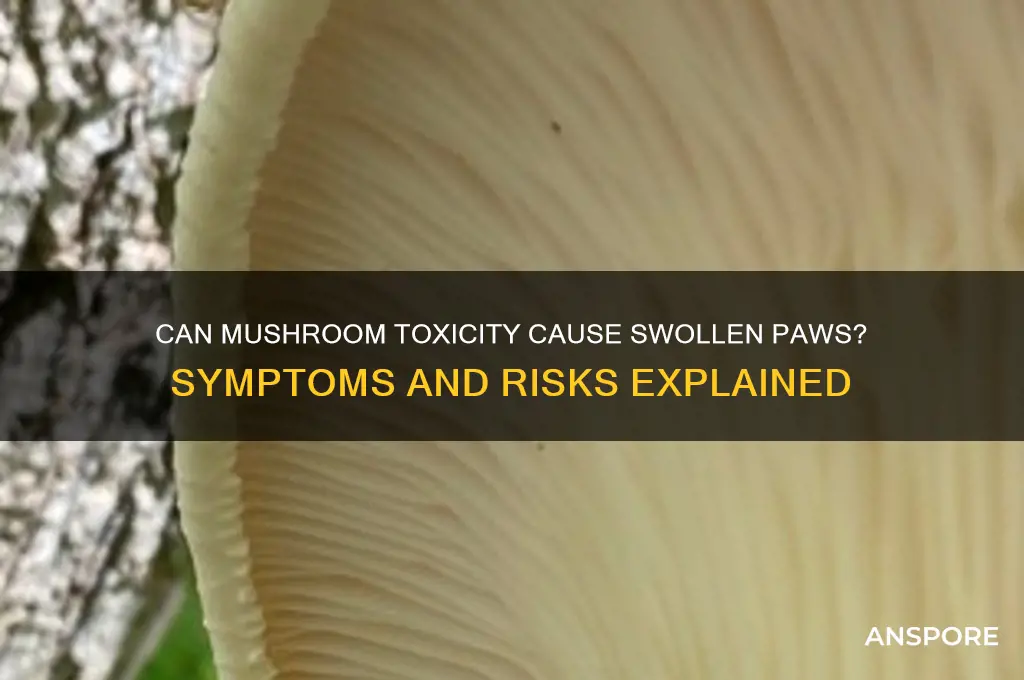 can mushroom toxicuty cause swollen paws
