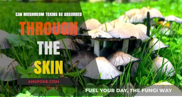 Can Mushroom Toxins Penetrate Skin? Unveiling the Risks and Facts