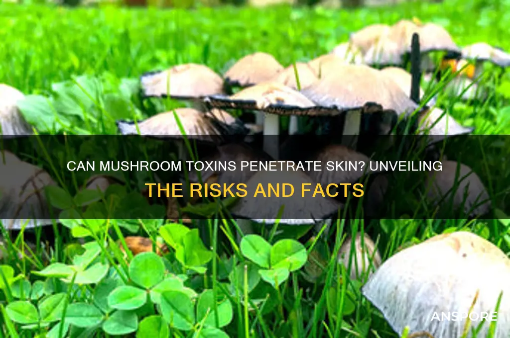 can mushroom toxins be absorbed through the skin