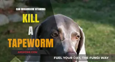 Mushroom Vitamins vs. Tapeworms: Can They Eliminate Parasites?