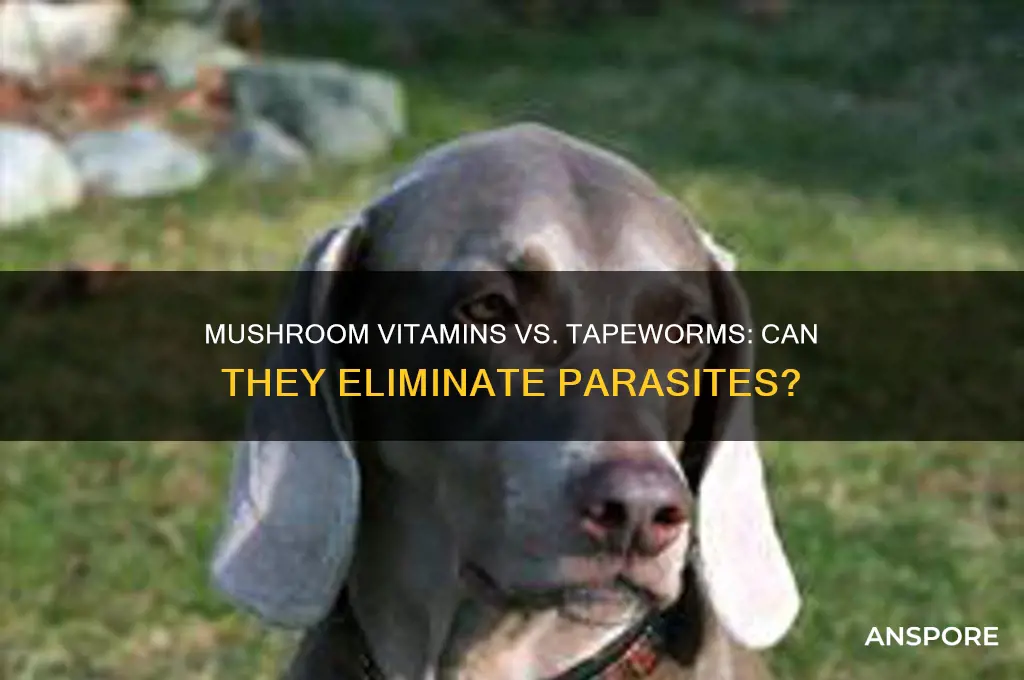 can mushroom vitamins kill a tapeworm