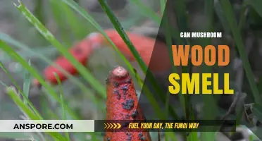 Exploring the Unique Scent of Mushroom Wood: Fact or Fiction?