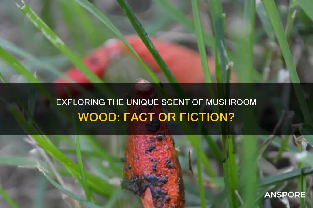 can mushroom wood smell