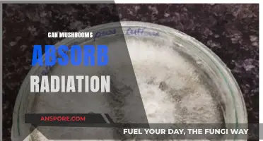 Mushrooms and Radiation: Unveiling Their Surprising Absorption Capabilities