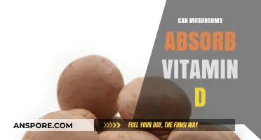 Mushrooms and Vitamin D: Unlocking the Sunlight-Absorbing Potential