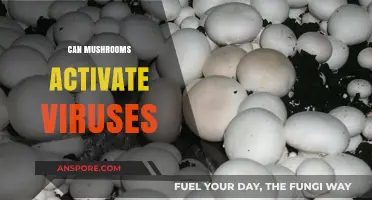 Mushrooms and Viruses: Unveiling the Potential for Viral Activation