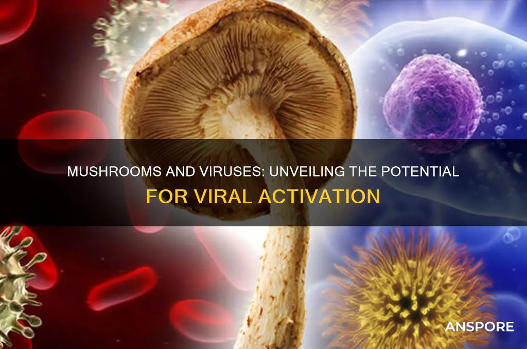 can mushrooms activate viruses