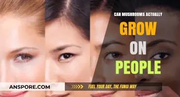 Can Mushrooms Grow on Humans? Unraveling the Fungal Myth