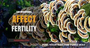 Mushrooms and Fertility: Exploring Their Impact on Reproductive Health