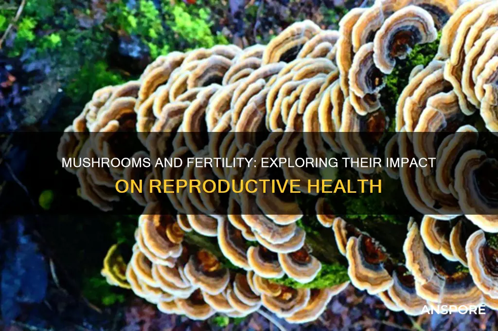 can mushrooms affect fertility